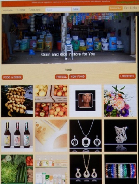 multi purpose web site